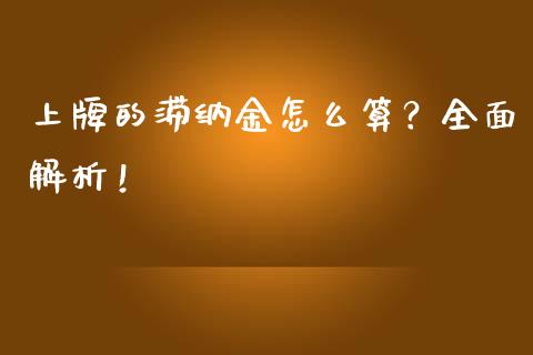 上牌的滞纳金怎么算？全面解析！_https://cj004.lansai.wang_外汇交易_第1张