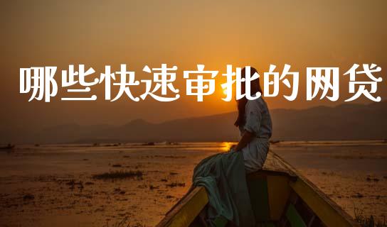 哪些快速审批的网贷_https://cj004.lansai.wang_金融监管_第1张