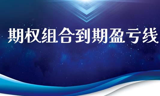 期权组合到期盈亏线_https://cj004.lansai.wang_财经新闻_第1张