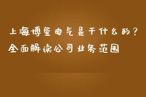 上海博玺电气是干什么的？全面解读公司业务范围_https://cj004.lansai.wang_全球市场_第1张