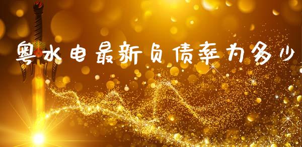 粤水电最新负债率为多少_https://cj004.lansai.wang_债券资讯_第1张