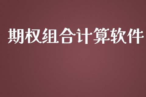 期权组合计算软件_https://cj004.lansai.wang_债券资讯_第1张