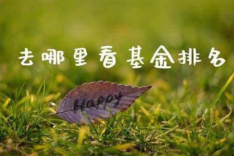 去哪里看基金排名_https://cj004.lansai.wang_债券资讯_第1张