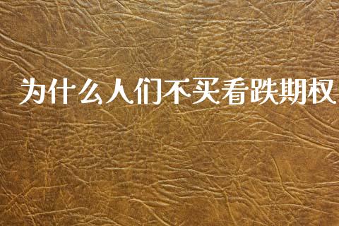 为什么人们不买看跌期权_https://cj004.lansai.wang_全球市场_第1张