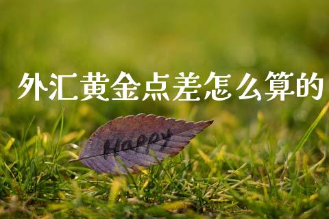 外汇黄金点差怎么算的_https://cj004.lansai.wang_财经新闻_第1张