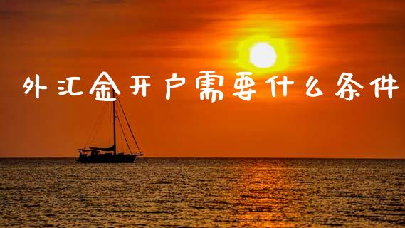 外汇金开户需要什么条件_https://cj004.lansai.wang_金融监管_第1张