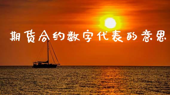 期货合约数字代表的意思_https://cj004.lansai.wang_外汇交易_第1张