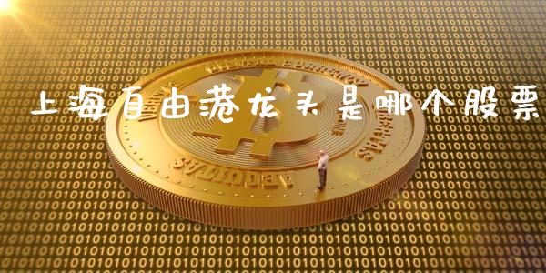 上海自由港龙头是哪个股票_https://cj004.lansai.wang_财经新闻_第1张