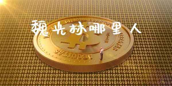 魏光林哪里人_https://cj004.lansai.wang_金融监管_第1张