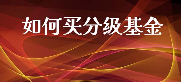 如何买分级基金_全球市场_第1张_期货开户_金融监管_外汇交易_债券资讯_全球市场_财经新闻 如何买分级基金_https://cj004.lansai.wang_全球市场_第1张