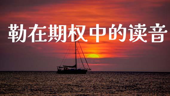 勒在期权中的读音_https://cj004.lansai.wang_金融监管_第1张