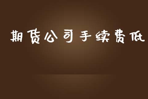 期货公司手续费低_https://cj004.lansai.wang_外汇交易_第1张