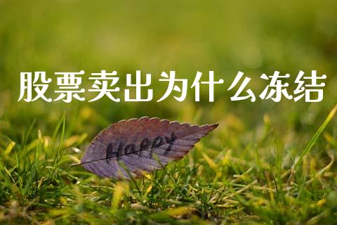 股票卖出为什么冻结_https://cj004.lansai.wang_金融监管_第1张