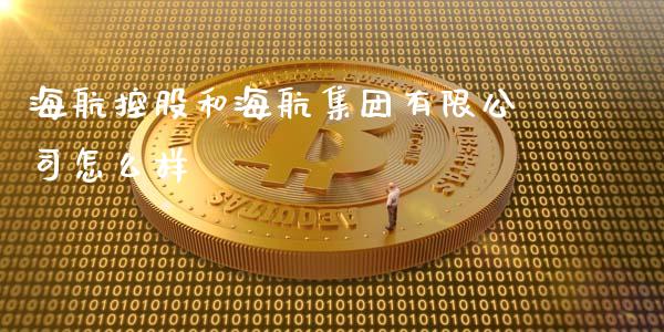 海航控股和海航集团有限公司怎么样_https://cj004.lansai.wang_金融监管_第1张