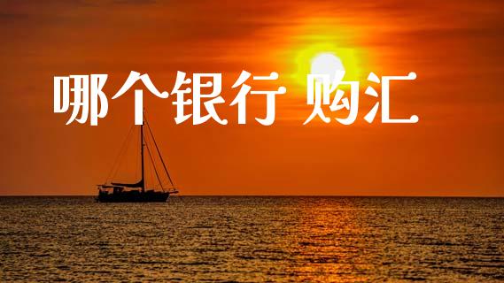 哪个银行 购汇_https://cj004.lansai.wang_全球市场_第1张