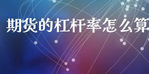 期货的杠杆率怎么算_https://cj004.lansai.wang_金融监管_第1张