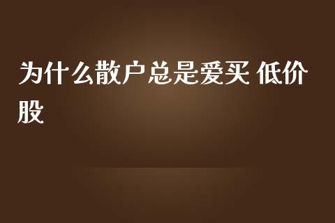 为什么散户总是爱买 低价股_https://cj004.lansai.wang_外汇交易_第1张
