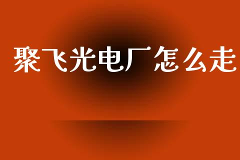 聚飞光电厂怎么走_https://cj004.lansai.wang_金融监管_第1张