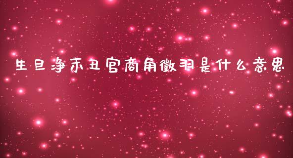 生旦净末丑宫商角徵羽是什么意思_https://cj004.lansai.wang_金融监管_第1张