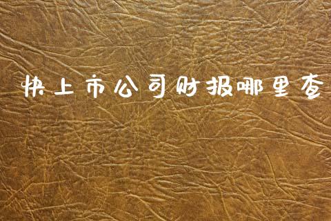 快上市公司财报哪里查_https://cj004.lansai.wang_外汇交易_第1张