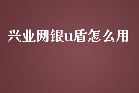 兴业网银u盾怎么用_https://cj004.lansai.wang_金融监管_第1张