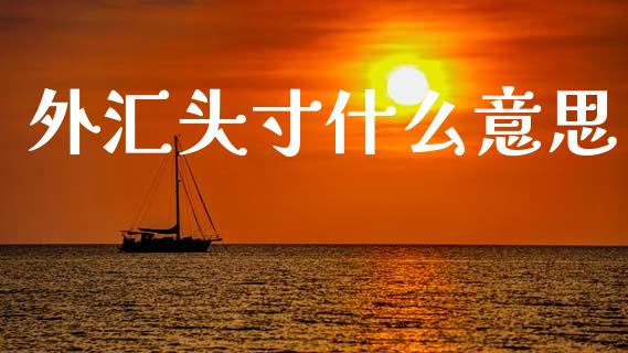外汇头寸什么意思_https://cj004.lansai.wang_金融监管_第1张