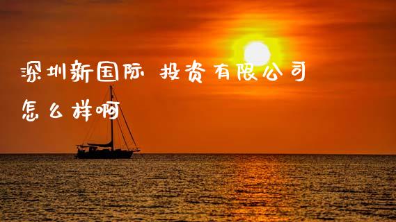 深圳新国际 投资有限公司怎么样啊_https://cj004.lansai.wang_财经新闻_第1张