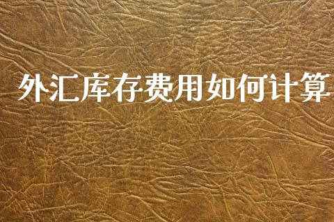 外汇库存费用如何计算_https://cj004.lansai.wang_金融监管_第1张