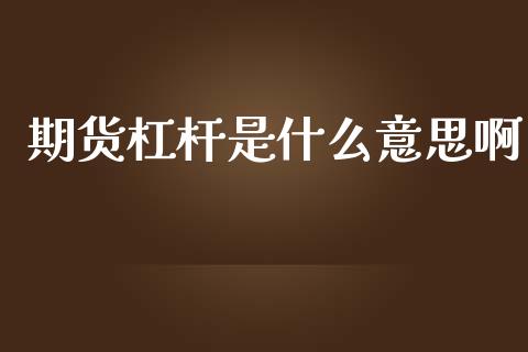 期货杠杆是什么意思啊_https://cj004.lansai.wang_全球市场_第1张