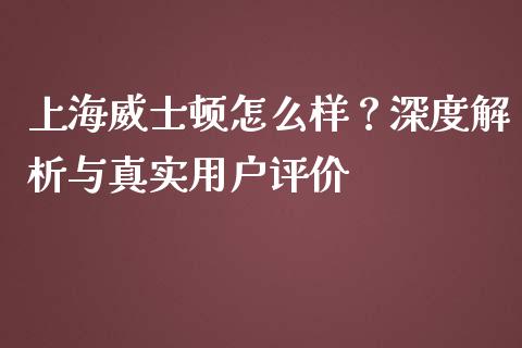上海威士顿怎么样？深度解析与真实用户评价_https://cj004.lansai.wang_金融监管_第1张