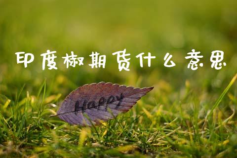印度椒期货什么意思_财经新闻_第1张_期货开户_金融监管_外汇交易_债券资讯_全球市场_财经新闻 印度椒期货什么意思_https://cj004.lansai.wang_财经新闻_第1张