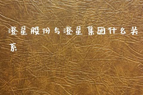 澄星股份与澄星集团什么关系_https://cj004.lansai.wang_期货开户_第1张