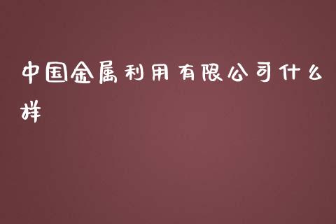 中国金属利用有限公司什么样_https://cj004.lansai.wang_金融监管_第1张