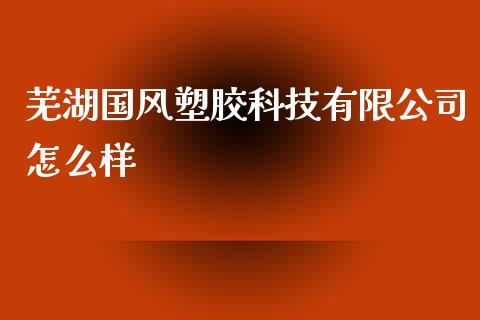 芜湖国风塑胶科技有限公司怎么样_https://cj004.lansai.wang_金融监管_第1张