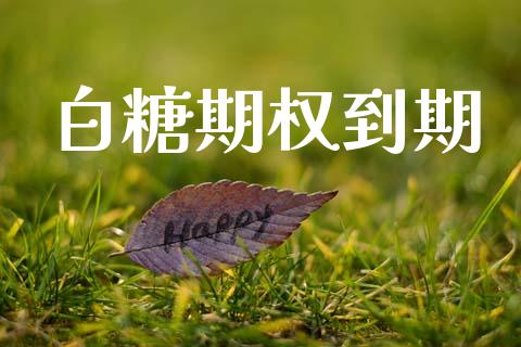 白糖期权到期_https://cj004.lansai.wang_期货开户_第1张