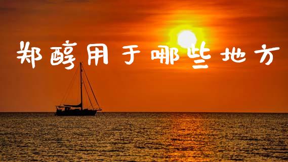 郑醇用于哪些地方_https://cj004.lansai.wang_全球市场_第1张