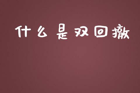 什么是双回撤_https://cj004.lansai.wang_财经新闻_第1张