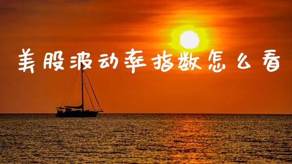 美股波动率指数怎么看_https://cj004.lansai.wang_期货开户_第1张