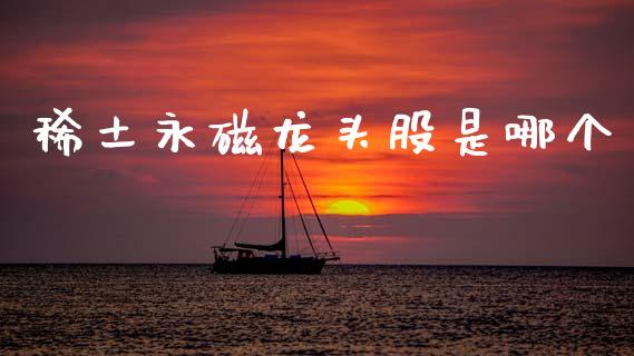 稀土永磁龙头股是哪个_https://cj004.lansai.wang_全球市场_第1张