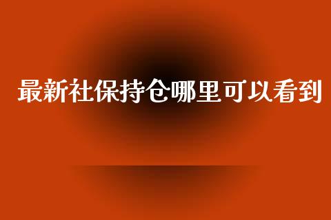 最新社保持仓哪里可以看到_https://cj004.lansai.wang_财经新闻_第1张