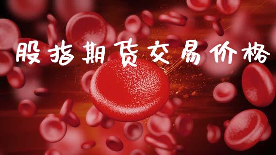 股指期货交易价格_https://cj004.lansai.wang_外汇交易_第1张