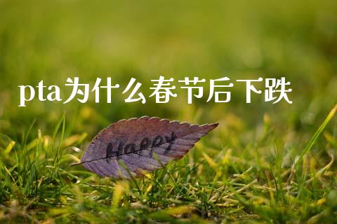 pta为什么春节后下跌_https://cj004.lansai.wang_期货开户_第1张