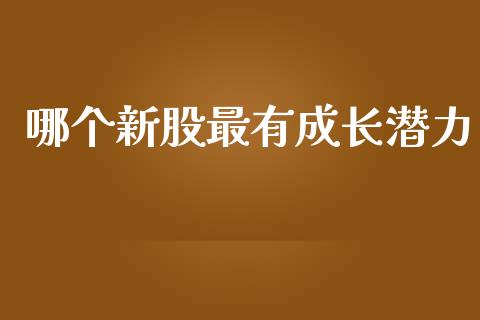 哪个新股最有成长潜力_https://cj004.lansai.wang_债券资讯_第1张