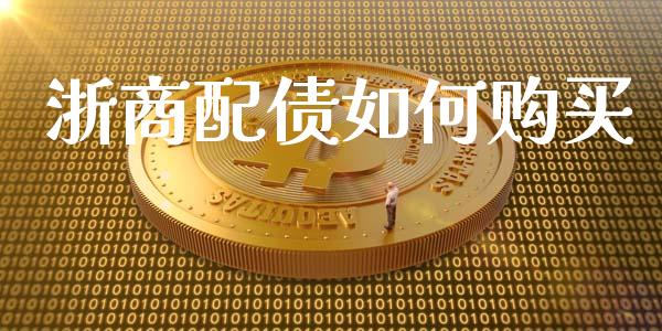 浙商配债如何购买_https://cj004.lansai.wang_金融监管_第1张