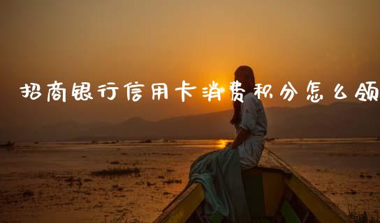 招商银行信用卡消费积分怎么领_https://cj004.lansai.wang_期货开户_第1张