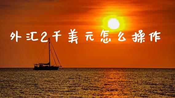 外汇2千美元怎么操作_https://cj004.lansai.wang_债券资讯_第1张