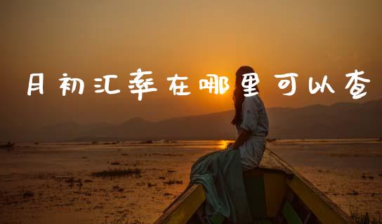 月初汇率在哪里可以查_https://cj004.lansai.wang_金融监管_第1张