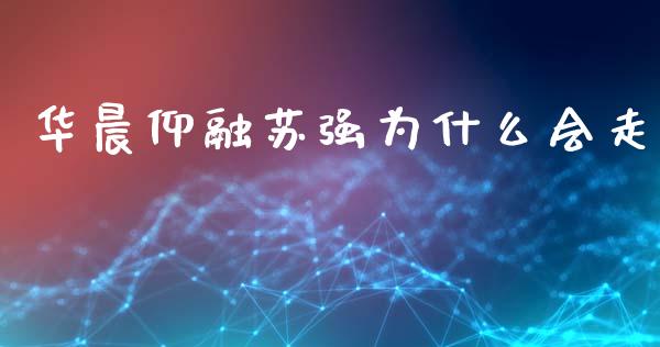 华晨仰融苏强为什么会走_https://cj004.lansai.wang_期货开户_第1张