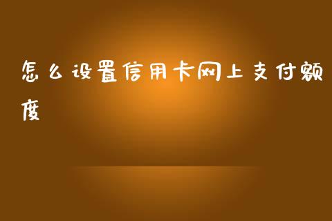 怎么设置信用卡网上支付额度_https://cj004.lansai.wang_金融监管_第1张