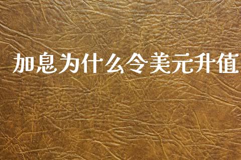 加息为什么令美元升值_https://cj004.lansai.wang_外汇交易_第1张